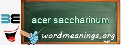 WordMeaning blackboard for acer saccharinum